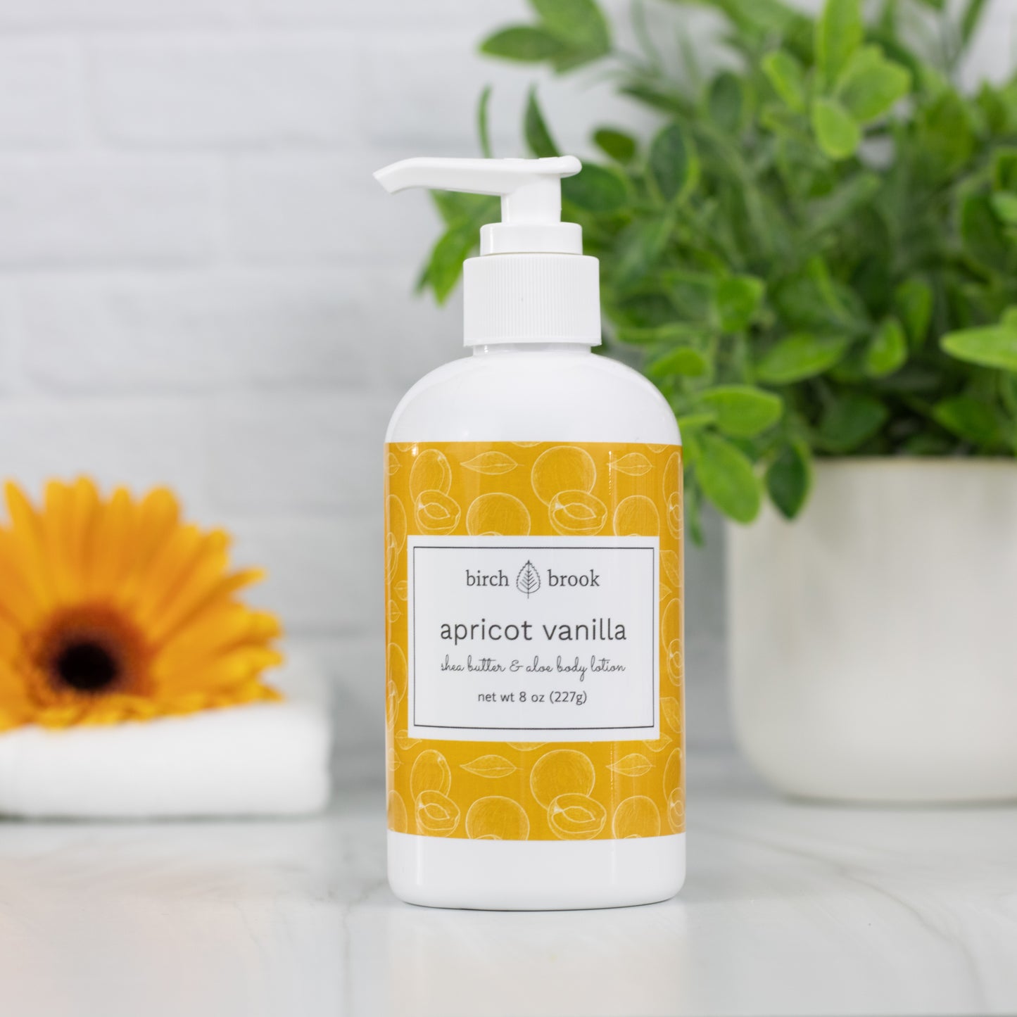 Apricot Vanilla Hand and Body Lotion 8 oz
